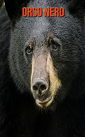 Orso nero