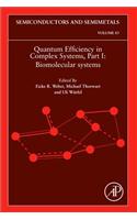 Quantum Efficiency in Complex Systems, Part I