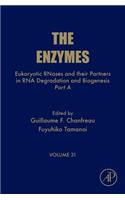 Eukaryotic RNases and their Partners in RNA Degradation and Biogenesis