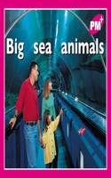 Big sea animals
