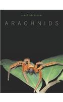 Arachnids