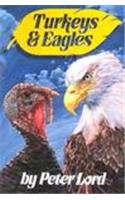 Turkeys & Eagles