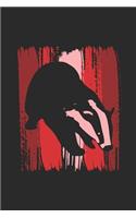 Badger Wild Animal