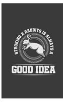 Stroking A Rabbit Is Always A Good Idea