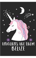 Unicorns Are From Belize: A Blank Lined Journal for Sightseers Or Travelers Who Love This Country. Makes a Great Travel Souvenir.