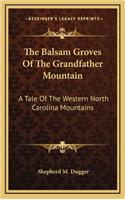 Balsam Groves Of The Grandfather Mountain: A Tale Of The Western North Carolina Mountains