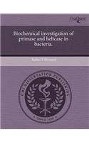 Biochemical Investigation of Primase and Helicase in Bacteria