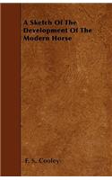 A Sketch Of The Development Of The Modern Horse