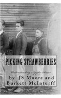 Picking Strawberries