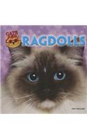 Ragdolls