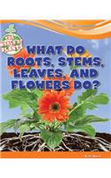 What Do Roots, Stems, Leaves, and Flowers Do?