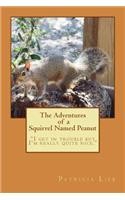 Adventures of a Squirrel Named Peanut