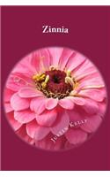 Zinnia