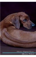 Rhodesian Ridgeback Affirmations Workbook Rhodesian Ridgeback Presents: Positive and Loving Affirmations Workbook. Includes: Mentoring Questions, Guidance, Supporting You.