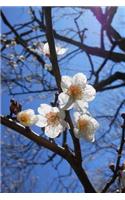 White Plum Blossoms on a Tree Journal: 150 Page Lined Notebook/Diary
