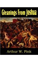 Gleanings from Joshua: (English)