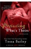 Protecting What's Theirs: (Entangled Brazen)