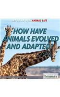 How Have Animals Evolved and Adapted?