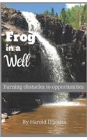 Frog in a Well