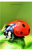 Coccinelle Carnet de notes: Journal A5 ligné original de 119 pages- Une belle idée de cadeau pour les amoureux des animaux
