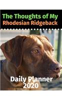 The Thoughts of My Rhodesian Ridgeback