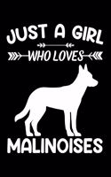 Just A Girl Who Loves MALINOISES: Gift for MALINOIS Dog Lovers Diary - Blank Lined Notebook And Journal - 6x9 Inch 120 Pages White Paper