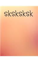 sksksksk: VSCO sksksksksk journal notebook 120 college ruled lined pages