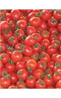 Tomatoes Notebook large Size 8.5 x 11 Ruled 150 Pages