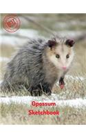 Opossum Sketchbook