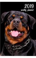 2019 Weekly Planner: 6x9 In. Rottweiler 52 Weekly Calendar Schedule Organizer Appointment Journal Notebook for Rottie Fans