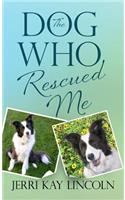 The Dog Who Rescued Me