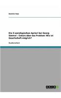 Die 3 soziologischen Apriori bei Georg Simmel - Exkurs über das Problem