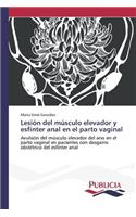 Lesión del músculo elevador y esfínter anal en el parto vaginal