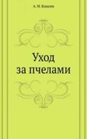 Uhod za pchelami