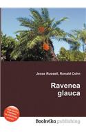 Ravenea Glauca: (English)