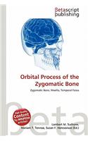 Orbital Process of the Zygomatic Bone