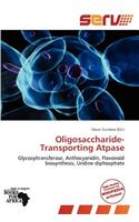 Oligosaccharide-Transporting Atpase