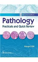 Pathology Practicals and Quick Review