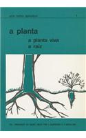 Planta