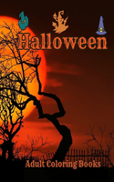 Halloween Adult Coloring Books