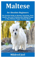 Maltese for Absolute Beginners