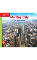 World of Wonders Patterned Book # 5 My Big City