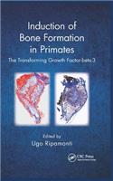 Induction of Bone Formation in Primates: The Transforming Growth Factor-beta 3