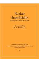 Nuclear Superfluidity