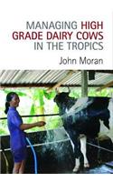 Managing High Grade Dairy Cows in the Tropics