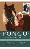 Pongo The Rescue Horse