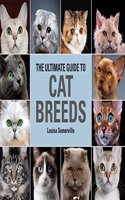 Ultimate Guide To Cat Breeds