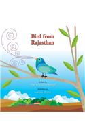 Bird from Rajasthan