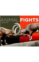 Animal Fights