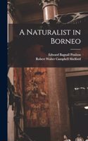 Naturalist in Borneo